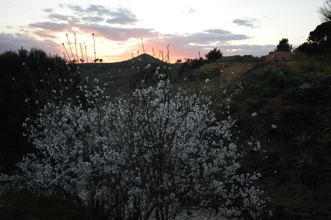 Agriturismo Il Drago Mirabella Imbaccari Zewnętrze zdjęcie